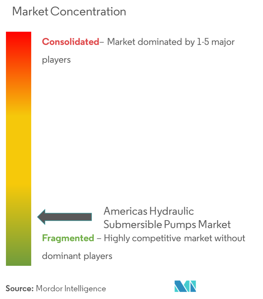 Mercado de bombas hidráulicas sumergibles en América – Concentración del mercado